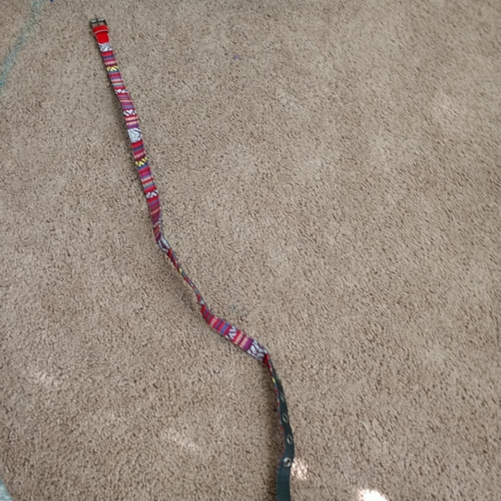 Belt